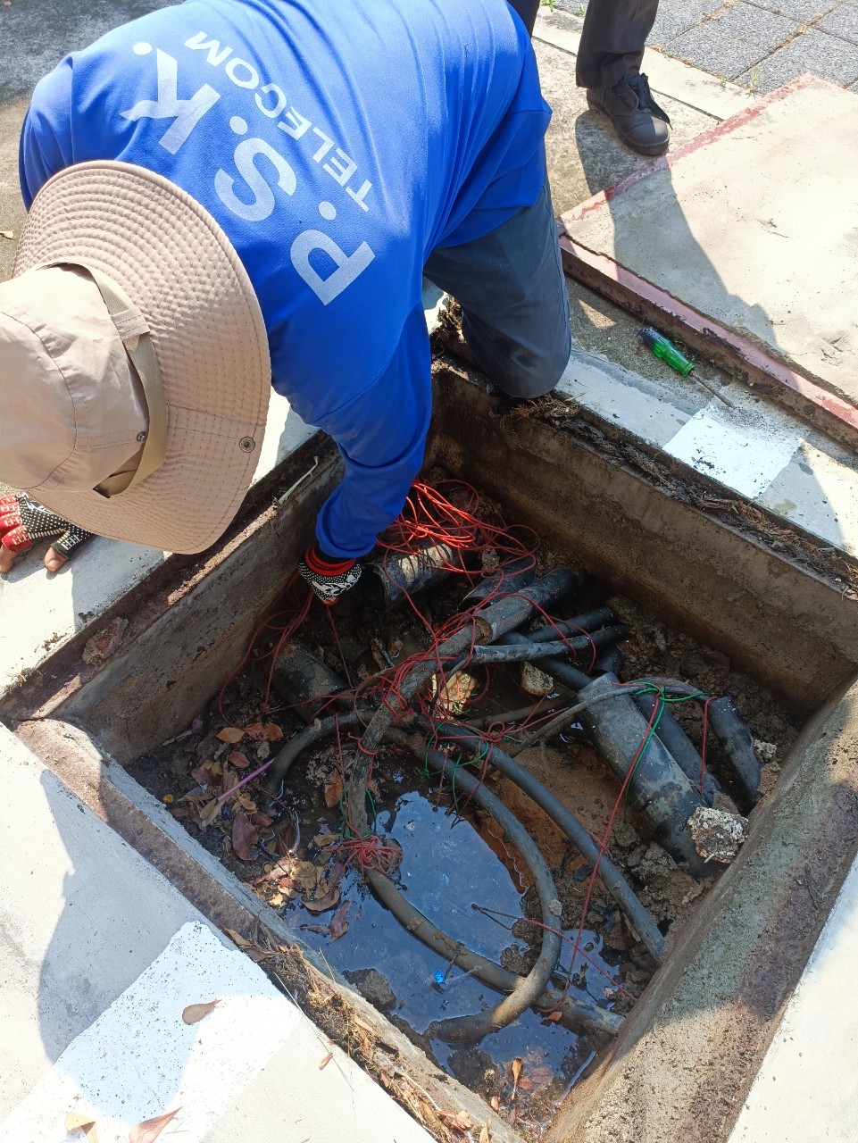 line album เดินสายไฟเบอร์ 230216